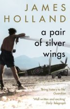 A Pair Of Silver Wings