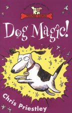 Young Corgi Dog Magic