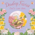 Dewdrop Fairies Owls Lost Hoot