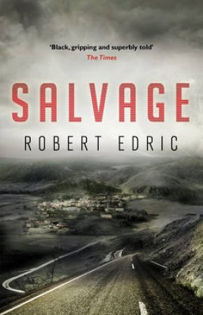 Salvage by Robert Edric