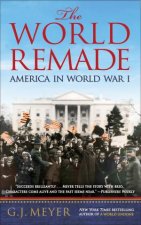 The World Remade America in World War I