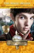 Adventures of Merlin The Magic Begins