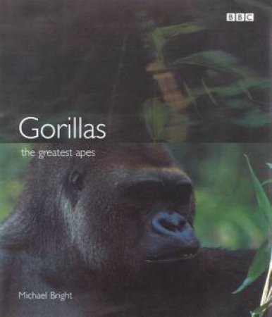Gorillas: The Greatest Apes by Michael Bright