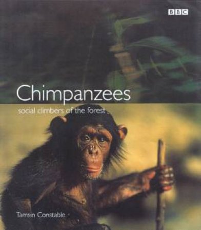 Chimpanzees: Social Climbers of the Forest by Tamsin Constable