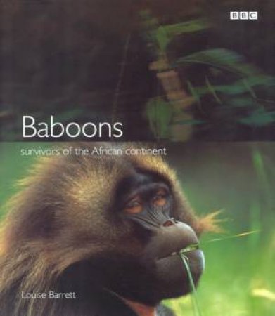 Baboons: Survivors of the African Continent by Louise Barrett