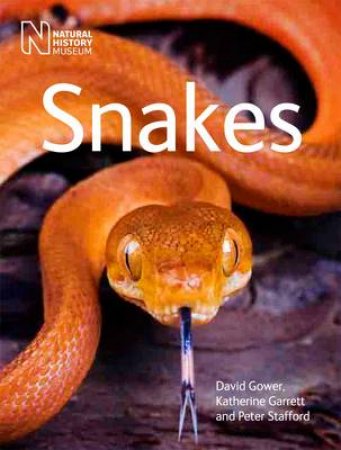 Snakes by David Gower & Katherine Garrett & Peter Stafford