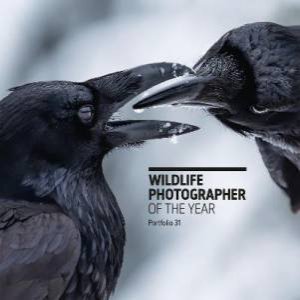 Wildlife Photographer Of The Year: Portfolio 31 by Natural History Museum