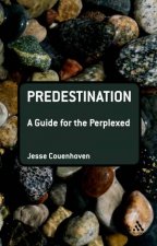 Predestination A Guide For The Perplexed