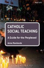 Catholic Social Teaching A Guide For The Perplexed