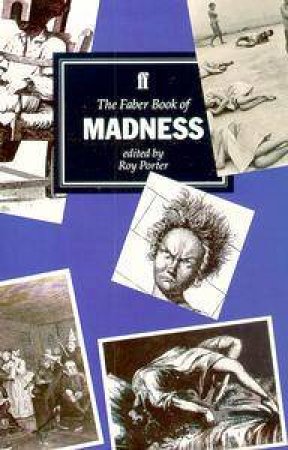 The Faber Book Of Madness by Roy Porter