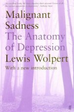 Malignant Sadness The Anatomy Of Depression