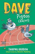 Dave Pigeon Racer