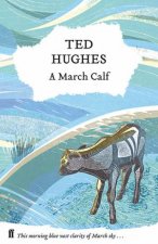 A March Calf
