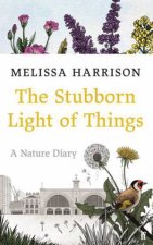 The Stubborn Light Of Things