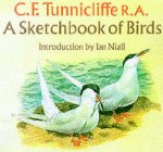 A Sketchbook Of Birds