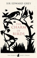 The Charm Of Birds