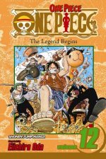 One Piece Volume 12