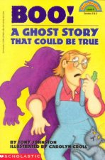 Boo A Ghost Story That Could Be True