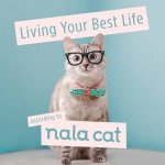 Living Your Best Life According To Nala Cat