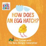 How Does An Egg Hatch