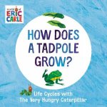 How Does A Tadpole Grow Life Cycles With The Very Hungry Caterpillar