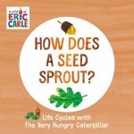 How Does A Seed Sprout Life Cycles With The Very Hungry Caterpillar