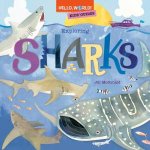 Hello World Kids Guides Exploring Sharks