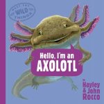 Hello Im an Axolotl Meet the Wild Things Book 4