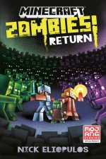 Minecraft Zombies Return