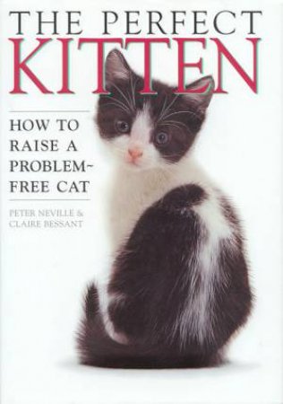 The Perfect Kitten by Peter Neville & Claire Bessant