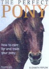 The Perfect Pony