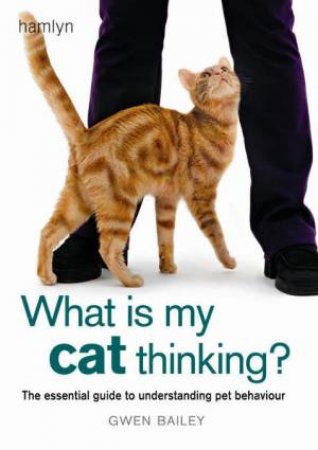 What Is My Cat Thinking? by Gwen Bailey