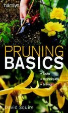 Pruning Basics