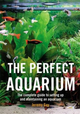 The Perfect Aquarium by Jeremy Gay