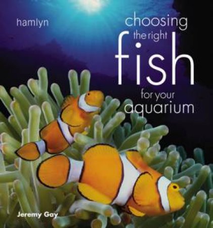 Choosing The Right Fish For Your Aquarium by Jeremy Gay