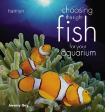 Choosing The Right Fish For Your Aquarium
