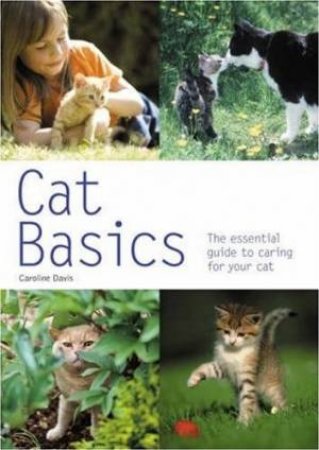 Cat Basics by Hamlyn