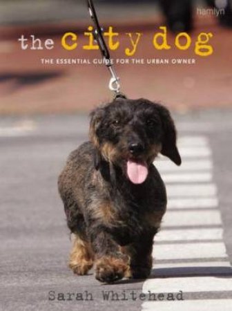 City Dog by Sarah Whitehead