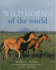 Wild Horses of the World