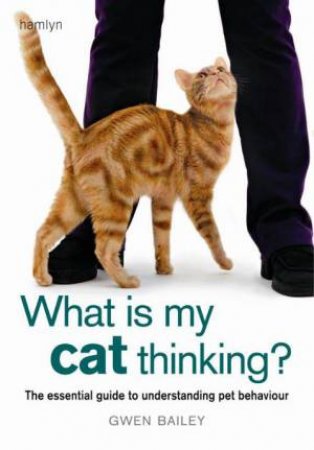 What is My Cat Thinking? by Gwen Bailey