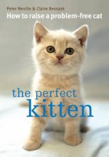 The Perfect Kitten How To Raise A ProblemFree Cat
