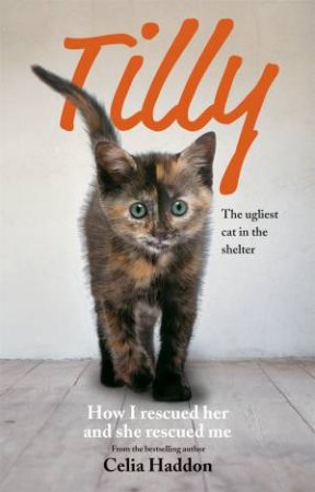 Tilly: The Ugliest Cat In The Shelter by Celia Haddon