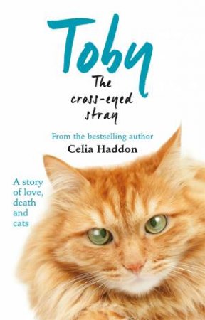 Toby The Cross-Eyed Stray by Celia Haddon