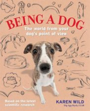 Being A Dog The World From Your Dogs Point Of View