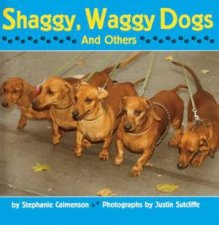 Shaggy Waggy Dogs and Others