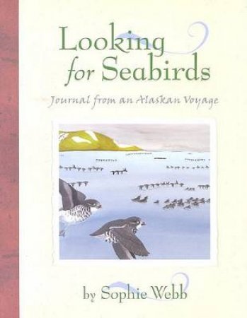 Looking for Seabirds by WEBB SOPHIE