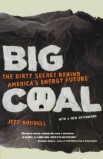 Big Coal