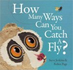 How Many Ways can You Catch a Fly