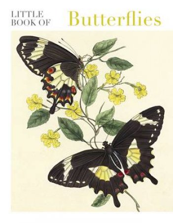 Little Book of Butterflies by National Library of Australia