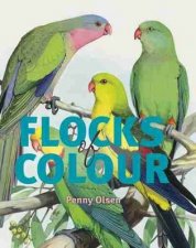 Flocks of Colour